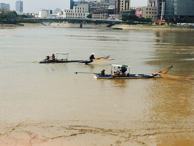 [-]Cá[-]trên[-]sông[-]Sài[-]Gòn[-]vẫn[-]bị[-]tận[-]diệt